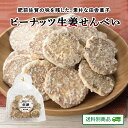 【10%OFFクーポン配布中】ありがとうショップ九州のごちそう便 小粒 ピーナッツ生姜煎餅90g×2袋 佐賀 和菓子 せんべい お菓子 おやつ お茶請け 地元グルメ 常温保存 送料別 6月特集号