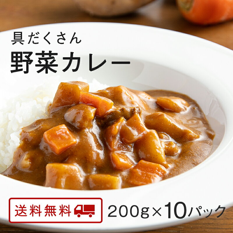 【クーポン配布中】＼クーポン利用で訳アリ特価！／ 具だくさん 野菜 カレー 10パック レトルト カレー 常温保存 九州のごちそう便特製 お取り寄せ 博多 惣菜 ポイント消化 ギフト ご当地グルメ 詰め合わせ B級グルメ 業務用 グルメ 食品 送料無料