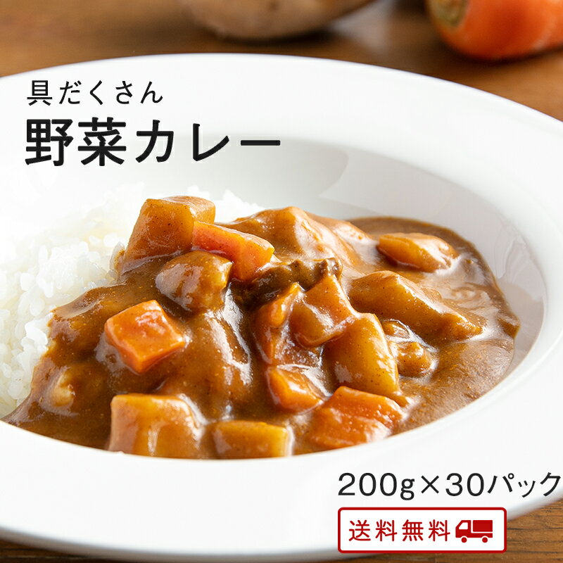 【クーポン配布中】＼クーポン利用で訳アリ特価！／ 具だくさん 野菜 カレー 30パック レトルト カレー 常温保存 九州のごちそう便特製 お取り寄せ 博多 惣菜 ポイント消化 ギフト ご当地グルメ 詰め合わせ B級グルメ 業務用 グルメ 食品 送料無料