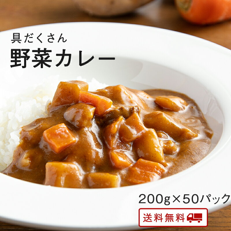 【クーポン配布中】＼クーポン利用で訳アリ特価！／ 具だくさん 野菜 カレー 50パック レトルト カレー 常温保存 九州のごちそう便特製 お取り寄せ 博多 惣菜 ポイント消化 ギフト ご当地グルメ 詰め合わせ B級グルメ 業務用 グルメ 食品 送料無料のサムネイル