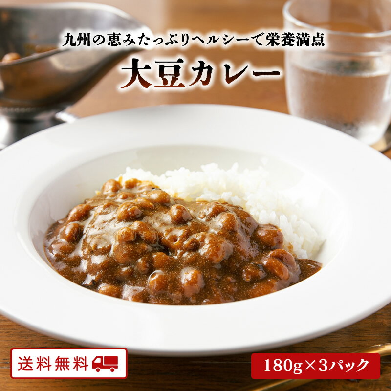 【クーポン配布中】＼美味しさお届け／ 大豆カレー 180g 3パック レトルト カレー 常温保存 九州のごち..