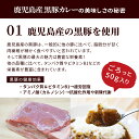 【クーポン配布中】＼美味しさお届け／ 送料無料 九州のごちそう便特製 黒豚カレー200g x 3パック レトルト カレー 常温保存 博多 惣菜 レトルトカレー スパイス カレールー ポイント消化 ギフト ご当地グルメ 詰め合わせ B級グルメ 業務用 グルメ