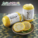 【クーポン配布中】ありがとうショップ九州のごちそう便 元祖 からし蓮根 265g×2本セット 産地直送