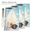 【クーポン配布中】ありがとうショップ九州のごちそう便 剣先イカ一夜干し(大)3枚 産地直送