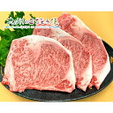 【クーポン配布中】ありがとうショップ九州のごちそう便 おおいた和牛 サーロインステーキ 600g(200g×3枚)(ステーキソース付) 産地直送
