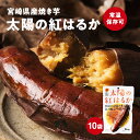太陽の紅はるか 10袋 無添加 焼き芋 常温保存品 防災食 保存食 非常食 紅はるか焼き芋1本入り×10袋
