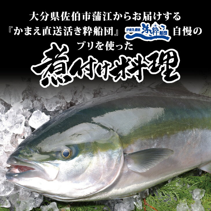 【送料無料】 ブリの煮付け料理 3箱セット（1箱200g×3箱） 魚 煮付け 大分 蒲江 ぶり 鰤 ギフト お歳暮 贈り物 プレゼント