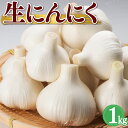 【予約販売】【5月中旬順次発送】 生にんにく 1kg(SS〜Lサイズ) 国産 にんにく 福岡