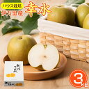 【予約販売】【送料無料】 大川三世代 温室幸太郎 3kg 幸...