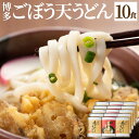 【送料無料】 博多ごぼう天うどん 10人前（2人前セット×5) うどん ごぼう天 あごだし つゆ付き 九州 福岡 ごぼ天うどん 天ぷらうどん 柔らか 麺 焼きあご 黄金色 スープ うどんセット ギフト 贈り物 プレゼント お中元 お歳暮 お返し 土産 郷土料理