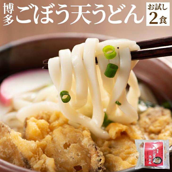 【送料無料】 博多ごぼう天うどん 2人前 1000円ポッキリ お試し 【初回購入限定】 揚げたて のような サクサク 食感 ごぼう天 あごだし 染みる ごぼ天うどん 太め 柔らか うどん ツルツル お子様 ご年配 食べやすい 福岡 博多 九州 定番 人気