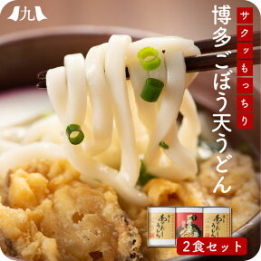 博多ごぼう天うどん 2人前 福岡 博多 博多うどん うどん ごぼう天 あごだし ごぼ天うどん 天ぷらうどん スープ うどんセット 九州 お取り寄せ グルメ ギフト プレゼント 贈り物 送料無料 内祝い お祝い 御礼 お歳暮 御歳暮