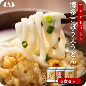 博多ごぼう天うどん 6人前（2人前×3） 福岡 博多 博多うどん うどん ごぼう天 あごだし ごぼ天うどん 天ぷらうどん スープ うどんセット 九州 お取り寄せ グルメ ギフト プレゼント 贈り物 送料無料 内祝い お祝い 御礼 お歳暮 御歳暮