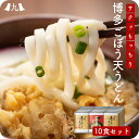 【送料無料】 博多ごぼう天うどん 10人前（2人前セット×5) うどん ごぼう天 あごだし つゆ付き 九州 福岡 ごぼ天うどん 天ぷらうどん 柔らか 麺 焼きあご 黄金色 スープ うどんセット ギフト 贈り物 プレゼント お中元 お歳暮 贈り物 お返し 土産 郷土料理