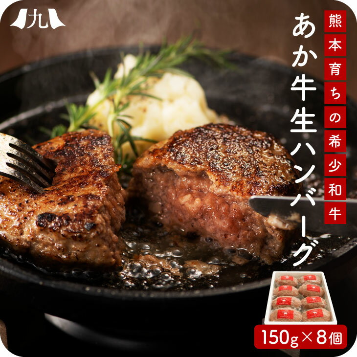 熨斗 対応 【熊本県産 あか牛 生ハンバーグ 150g × 8個】赤牛 国産 和牛 赤身肉 レストラン 合挽 手ごね 無添加 ヘルシー おうちバル のし 化粧箱 贈答 ギフト 御歳暮 お中元 父の日 冷凍 黒毛和牛 より旨味が強い 簡単調理 九州産 希少 あかうし 牛肉 産地直送 送料無料