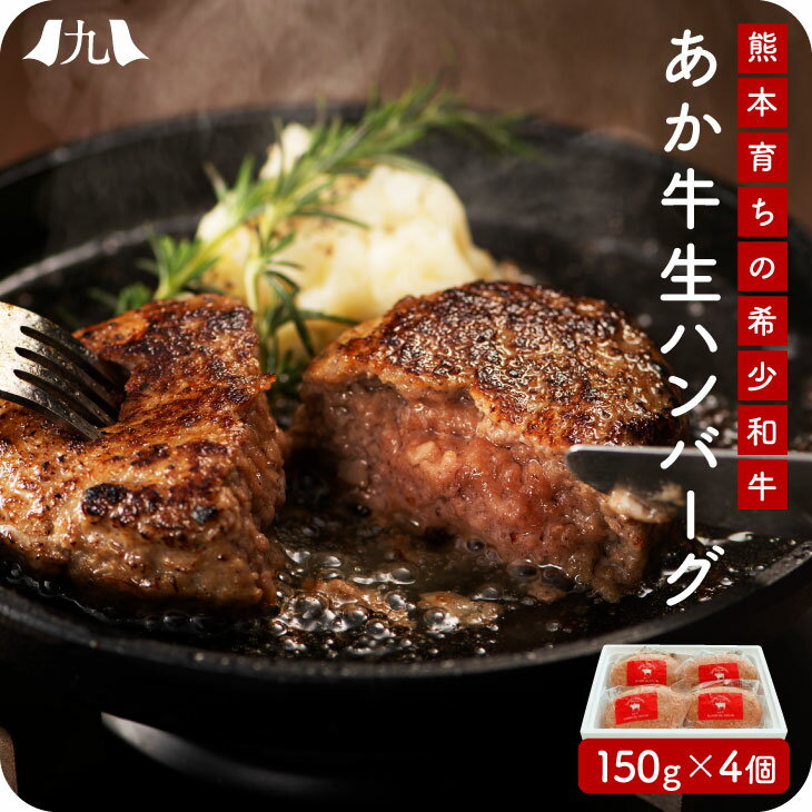 あか牛 生ハンバーグ 150g 4個 熊本 赤牛 国産 和牛 赤身肉 レストラン 合挽 手ごね ヘルシー おうちバル 黒毛和牛 より旨味が強い 希少 あかうし 牛肉 九州 お取り寄せ グルメ ギフト プレゼ…