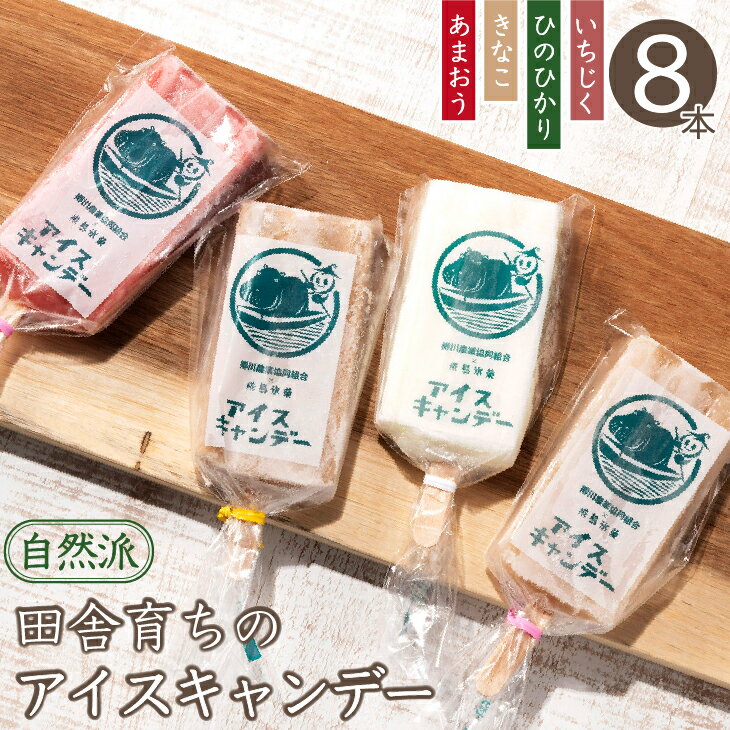 JA柳川『柳川育ちのアイスキャンデー』