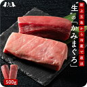 【上五島産生本まぐろ「かみまぐろ」500g】 赤身(約250g) 中トロ(約250g) 生 ブロック クロマグロ 長崎 刺身 マグロ 鮪 養殖 国産 海鮮 魚介...