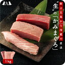 【上五島産生本まぐろ「かみまぐろ」1kg】 赤身(約400g) 中トロ(約500g)大トロ(約100g) 生 ブロック クロマグロ 長崎 刺身 マグロ 鮪 養殖...