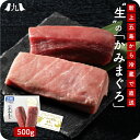 予約受付 敬老の日限定【上五島産生本まぐろ「かみまぐろ」500g】 赤身(約250g) 中トロ(約250g) 生 ブロック クロマグロ 長崎 刺身 マグロ 鮪 国産 海鮮 魚介 魚 とろ トロ 冷蔵 ギフト 贈り物 高級 新鮮 敬老の日 2025