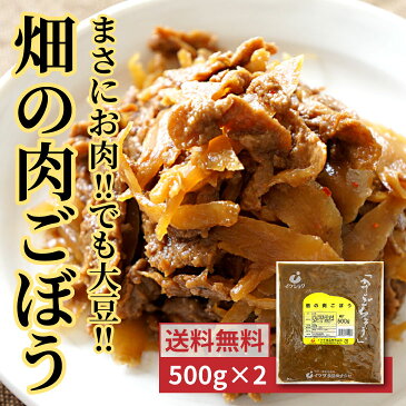 【送料無料】畑の肉ごぼう 500g 2個セット