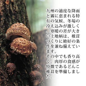 【送料無料】 国産 どんこ椎茸 400g 干ししいたけ 九州産
