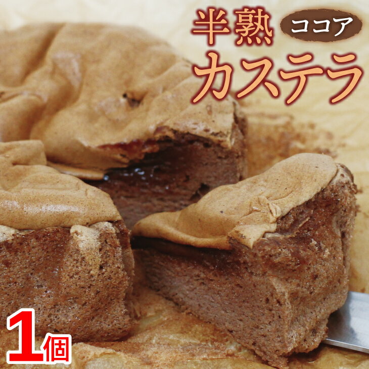 【ポイント10倍〜19倍】【送料無料】 半熟カステラ ココア ロハスランド 約180g