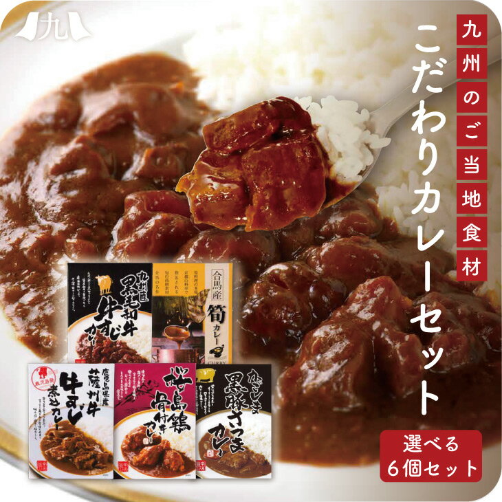 九州産 こだわりカレー選べる6個ギフトセット ビーフ チキン ポーク タケノコ 筍 黒毛和牛 牛すじ 骨付き 九州 お取り寄せ グルメ ギフト プレゼント 贈り物 送料無料 内祝い お祝い 御礼