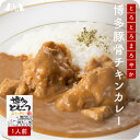 博多とんこつチキンカレー 福岡 博多 屋台 ポスト投函 メール便 豚骨 とん...
