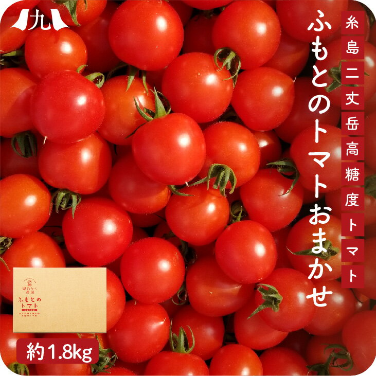 愛知県産 ”イエローアイコトマト＋アイコトマト” 秀品 約1kg＋約1kg【予約 入荷次第発送】 送料無料