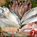 【送料無料】天然鮮魚一夜干しセット 干物 低温熟成 無添加