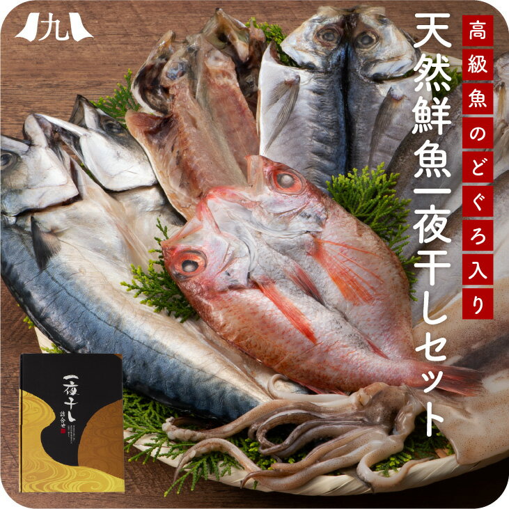 のどぐろ 入り 天然鮮魚 一夜干し 5