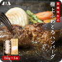 極上ふわとろハンバーグ 5個【総理大臣賞受賞】 長崎 諫早 和牛 国産 合挽き 九州 お取り寄せ グルメ ギフト プレゼント 贈り物 送料無料 内祝い お祝い ...