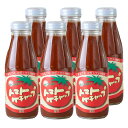 めぐみ会 とまとの里の贈りもの トマトケチャップ【甘口】385g×6本 送料無料 大分県荻町 お母さん達の手作り エムナイン 高原とまと あす楽対応 対応地域の...