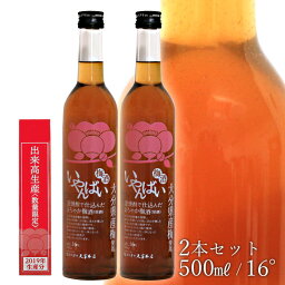 数量限定 梅酒 いやんばい 16度 500ml 【2本セット】送料無料【久家本店】