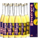 南国特産 ボンタンアメのお酒 6度 500ml 化粧箱入り 12本セット【送料無料】