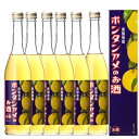 南国特産 ボンタンアメのお酒 6度 500ml 化粧箱入り 6本セット【送料無料】