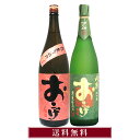 おこげ 25°1800ml と 円熟おこげ 30°1800ml 大分麦焼酎飲み比べセット【おこげ飲み比べセット】【送料無料】【包装無料】老松酒造 大分麦焼酎