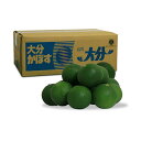 予約受付中 かぼす青果 大分竹田産 1箱 2Kg 秀品 大分かぼす 露地カボス 秀品 優品 送料無料 8月下旬頃より発送予定