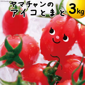 【完熟ミニトマト】アイコトマト3Kg【送料無料】