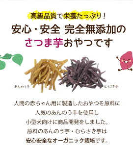 犬用バレンタイン ワンちゃんにもおいしいごちそう 犬用おやつのおすすめランキング わたしと 暮らし 犬用バレンタイン ワンちゃんにもおいしいごちそう 犬用おやつのおすすめランキング わたしと 暮らし