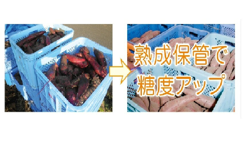 人気の干し芋鹿児島産 訳あり 紅はるか　計3kg　600g 5袋　賞味期限 出荷日より30...