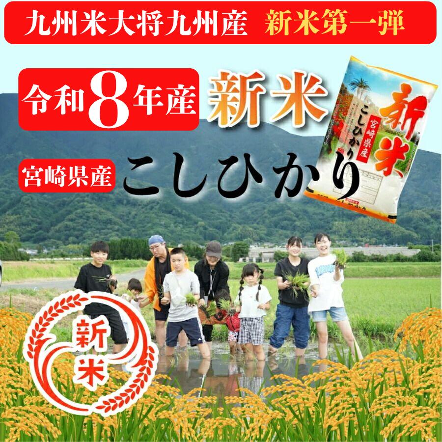 【令和8年産 新米】送料無料 無洗米 宮崎県産コシヒカリ10kg（5kg×2袋）【沖縄・北...
