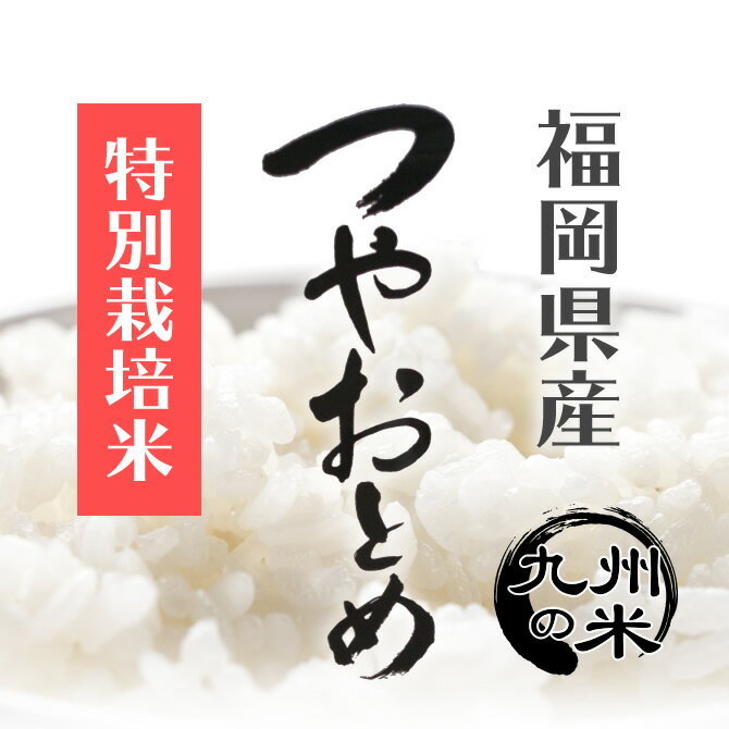 【お買い物マラソン当店ポイント2倍】【令和5年産】送料無料 減農薬 特別栽培米 つやおとめ 10kg（5kg×2袋） 3