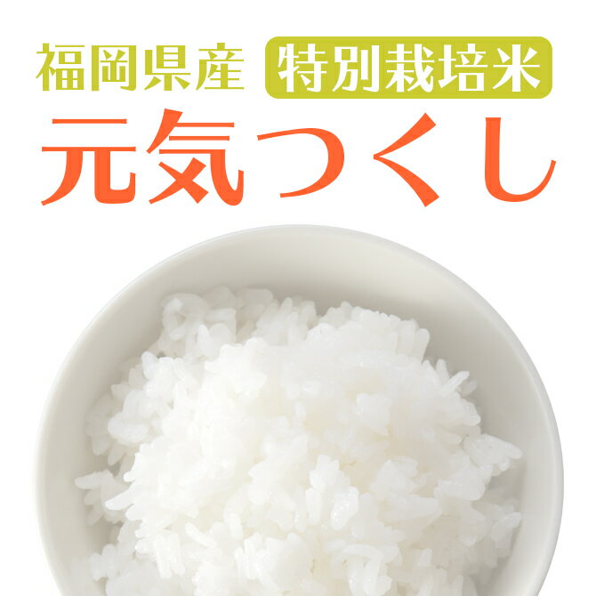 【令和3年産米】送料無料 有明海苔セット 福岡県産元気つくし 10kg（5kg×2袋）