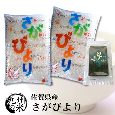 （送料無料） （令和元年産）有明海苔セット （1等米）佐賀県産さがびより 5kg×2...