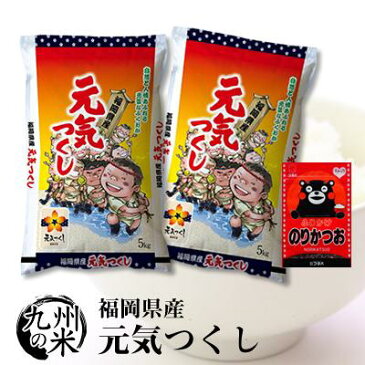 （送料無料） 【無洗米】（令和2年産新米）ふりかけセット 福岡県産元気つくし 5kg×2袋 【10kg】