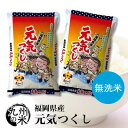 送料無料 無洗米 令和2年産 福岡県産元気つくし10kg（5kg×2袋）