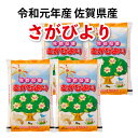 送料無料 数量限定 令和元年産 佐賀県産さがびより 20kg（5kg×4袋） 全国食味ランキング 特A 10年連続受賞