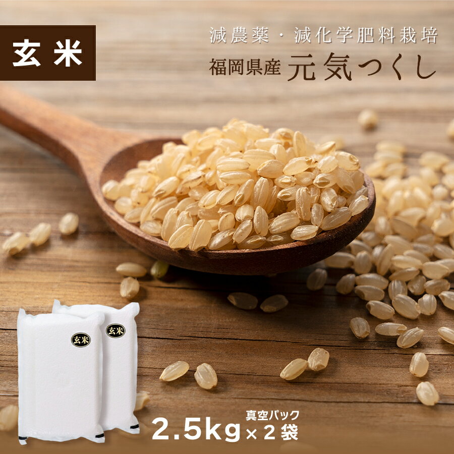 【令和3年産米】【玄米】送料無料 特別栽培米福岡県産元気つくし 5kg（2.5kg×2袋）